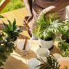 Dog Flower Pot with Saying "Du bist toll Hundemensch Aussie