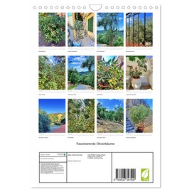 Faszinierende Olivenbäume (Wandkalender 2026 DIN A4 hoch), CALVENDO Monatskalender: Olivenbäume fotografiert auf Korfu unterschiedlichen Alters (CALVENDO Natur)