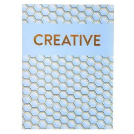 Exacompta 85230E Copper Time Display Folder 24 x 32 cm with 40 Transparent Pockets 80 Views Plastic Envelope 1 Piece Random Colour