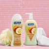 Softsoap Body Wash, Coconut Butter Scrub , Exfoliating Body Wash,