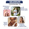 Selenium 200mcg - 1 Year Supply - 365 Selenium Tablets