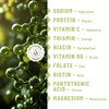 TOLEVITA Post Workout Muscle Recovery Patches with Vitamin C -