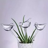Bird-Shaped Automatic Plant Waterer for Rooftop Balconies Plant Waterer - Bird 2ea