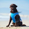 Canada Pooch | Chill Seeker Cooling Vest