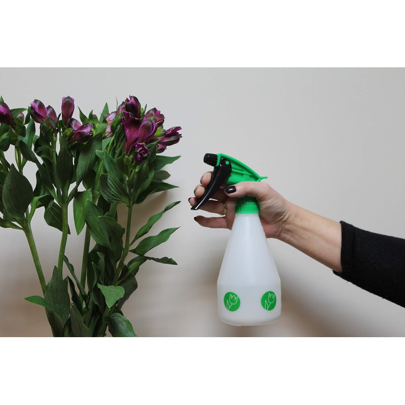 Greenkey Garden & Home Ltd 500 ml Trigger Sprayer, Translucent
