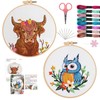 Offizon 2 PCS Embroidery Kit for Beginners - Mixed Embroidery