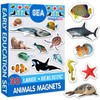 Magdum Fridge Magnets for Toddlers - 30 SEA Photo Kids