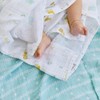 aden + anais Eiden and Anais Year of Snake Swaddle,