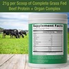 Grass Fed Beef Protein Powder + Organ Complex. Lactose Free