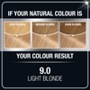 Garnier Olia Ammonia-Free Brilliant Color Oil-Rich Permanent Hair Color, 9.0