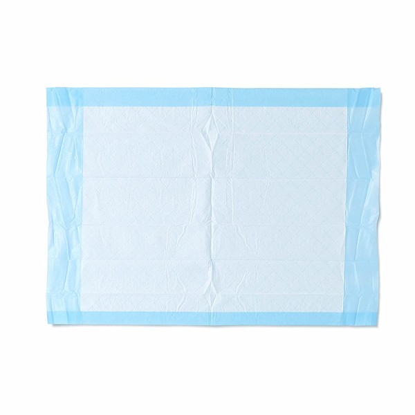 Medline Industries, Inc. MSC281224C Ultra Lightweight Tissue and Plastic 17” x 24” Disposable Underpad, Great For Changing Table and Surfaces, 300 Per Case, Blue