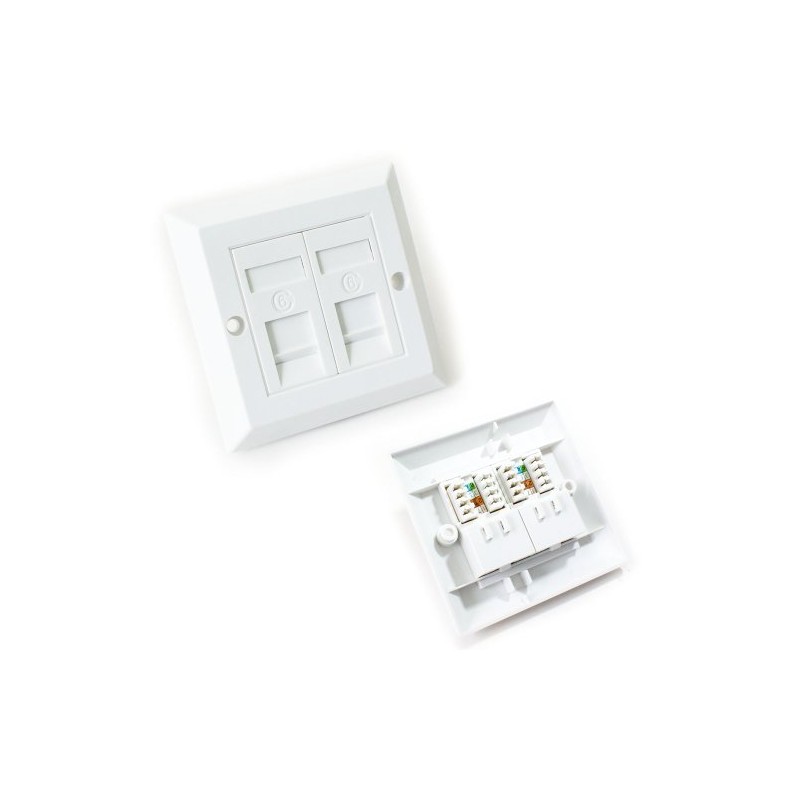 Double Port CAT6 IDC Wall Outlet Face Plate - 2