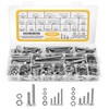 Homwin 255Pcs Stainless Steel Bolts and Nuts Kit, 1/4-20, 5/16-18,