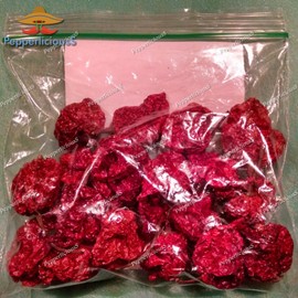 PepperliciousS Pepper Company 20 DRIED CAROLINA REAPER PEPPER PODS - WORLDS HOTTEST CHILI - with SEEDS