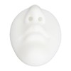 Silicone Mouth Nose Model 3D Realistic Reusable Display Nose Piercing