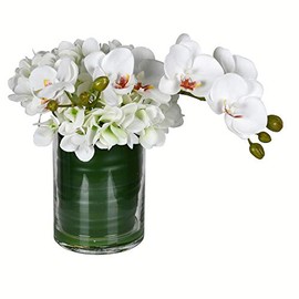 Vickerman 11" Everyday Artificial White Orchid In Glass Pot - Faux Indoor Floral Greenery Arrangement - For Home Or Office Decor - Maintenance Free