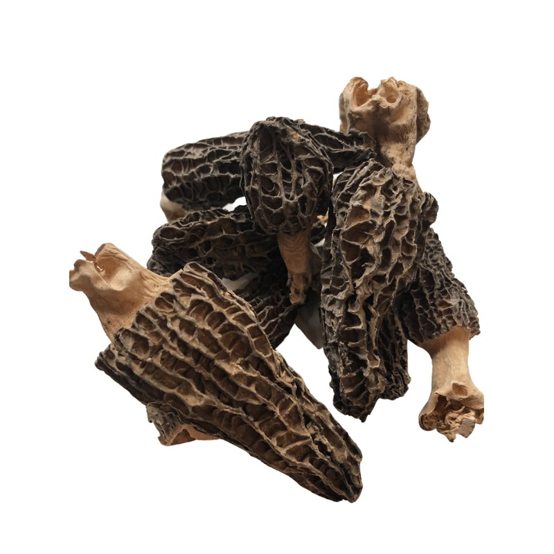 Great Lakes Treats Dried Morel Mushrooms, 0.5oz (Pack of 1)
