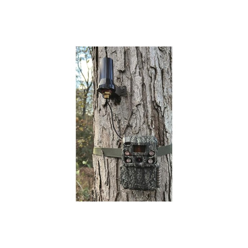 Browning Cellular Long-Range Antenna