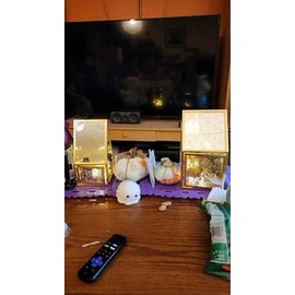 Set of 2 Medium & Large Mercury Glass Lanterns by Lauren McBride