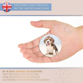 Destination Vinyl ltd Magnet for Refrigerator, Fridge - Cute Beagle Puppy Dog Animal for Office, Cabinet and Whiteboard, Magnetic Stickers, 21194