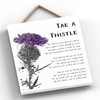 Global Designs Tae A Thistle Scottish Flower Watercolour Effect Illustration