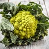 Broccoli Seeds - Romanesco - Packet - Vegetable Seeds, Heirloom