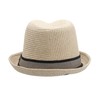 Peter Grimm Depp Fedora Hat, Natural Grey/Black, Large-X-Large