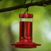 First Nature 2 PACK First Nature Hummingbird Feeder. 16 oz.