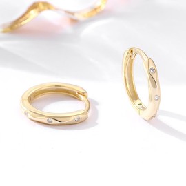 RoseJeopal Gold Hoop Earrings for Women, 925 Steling Silver Hoop Earrings, 10mm Small Sleeper Hoops for Ladies Girls, Cubic Zirconia Gold Earring Hoops