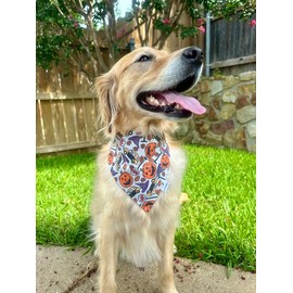 Howl-O-Ween Town Pup:_M: Fits up to 18"