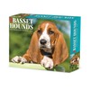 Willow Creek Press Basset Hounds Daily 2025 Box/Desk Calendar (5.86"