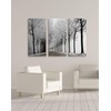 Renditions Gallery Winter Curve 3 Panel Wall Art For Home,