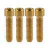 Ruifu 4pcs Titanium Alloy Small Head Hex Socket Head Screw