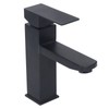 Basin Faucet Stainless Steel Surface Black Baking Paint Bathroom Sink