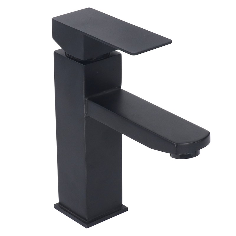 Basin Faucet Stainless Steel Surface Black Baking Paint Bathroom Sink
