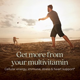 New Chapter Men's Multivitamin for Immune, Stress, Heart + Energy Support with Fermented Nutrients - Every Man's One Daily, Made with Organic Vegetables & Herbs, Non-GMO, Gluten Free - 72 ct