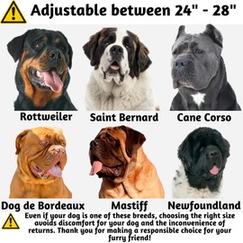 ADITYNA Ultra Comfortable Soft Neoprene Padded XL Dog Collar for Extra-Large Dogs