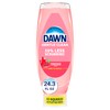 Dawn Gentle Clean EZ-Squeeze Dishwashing Liquid Dish Soap, Pomegranate and