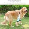 Dog Recovery Front Legs Sleeve Abrasion Resistant Breathable Comfortable Soft