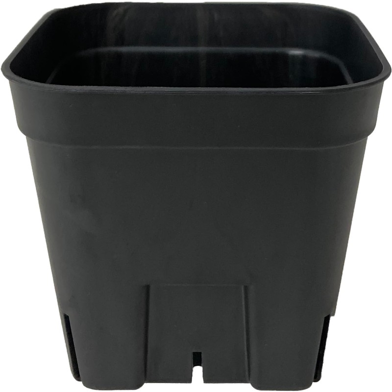 Appleware Japanese Poly Bowls, Prestella 90, Set of 10, Black