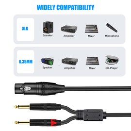 Dual 1/4 inch to XLR Female Y Splitter Cable, tunghey Female XLR to Dual 6.35mm TS Mono Plug Microphone Audio Converter Adapter for mic, Mixer, Amplifier, Sound Card, KTV, Home Theater (1m)