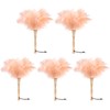 MehelloFeather Ostrich Feather Duster 12 Inch Handheld Duster Supplies, Wooden