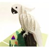 Handmade 3D Pop Up Greeting Card Handmade Parrot, Birthday, Christmas,