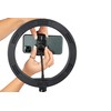 Gator Frameworks ID Series Content Creator Tree Accessory Ring Light