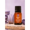 OLEUM VITAE Aceite Esencial de Lavanda. Lavandula Angustifolia. 100% Puro