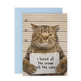 Funny Cat Birthday Card - Cute Greeting Cards From Pet Cat - Joke Gag - For Cat Mom and Dad - Comes With Fun Stickers By Central 23