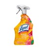 Lysol All Purpose Cleaner Spray, Multi-Purpose Disinfecting Spray, Kitchen &