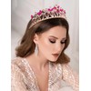Campsis Crystal Queen Crown Rhinestne Bridal Tiaras Pink Flower Princess