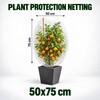 Plant Protection Netting for Fruit Trees & Garden Plants –