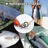 FishTrip Solid Rings Fishing 50Pcs - Stainless Steel Ring for